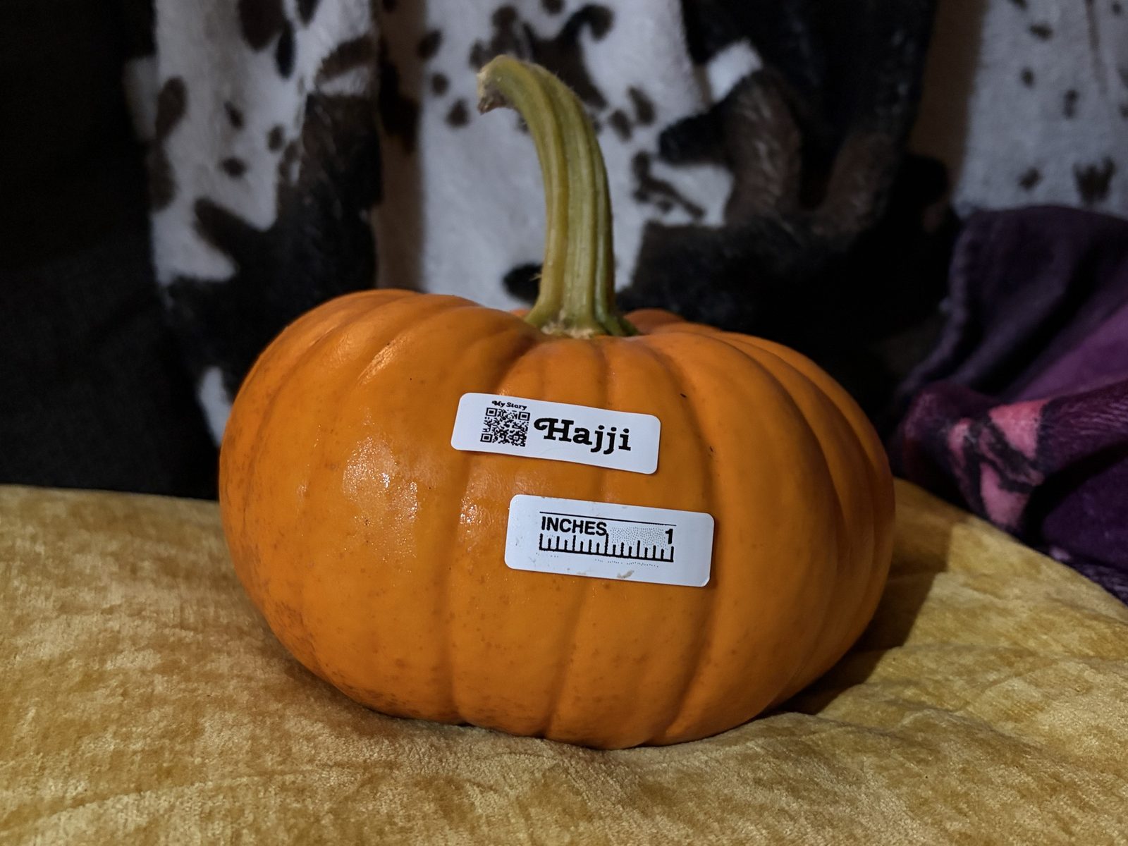 Hajji