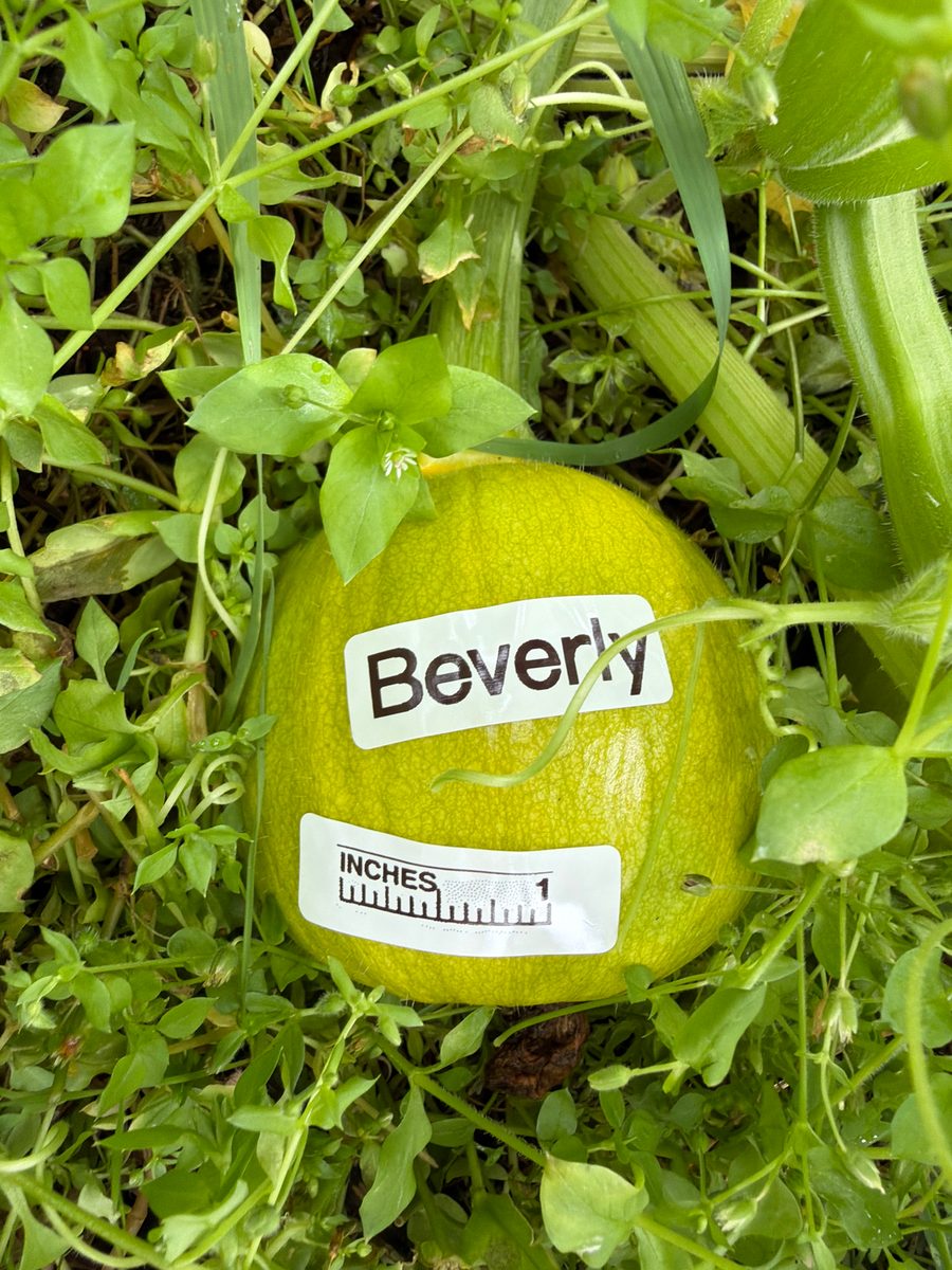 Beverly at birth