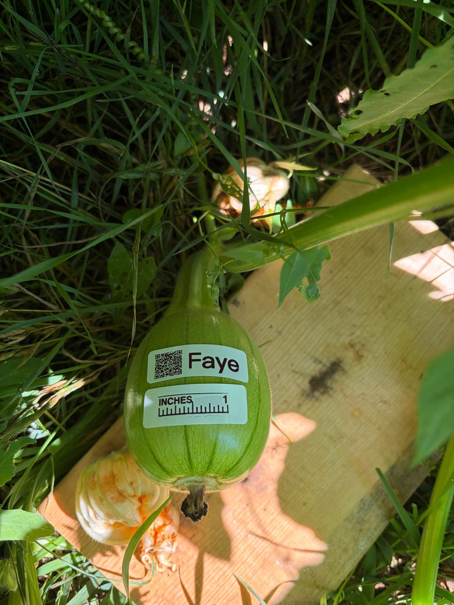 Faye at birth