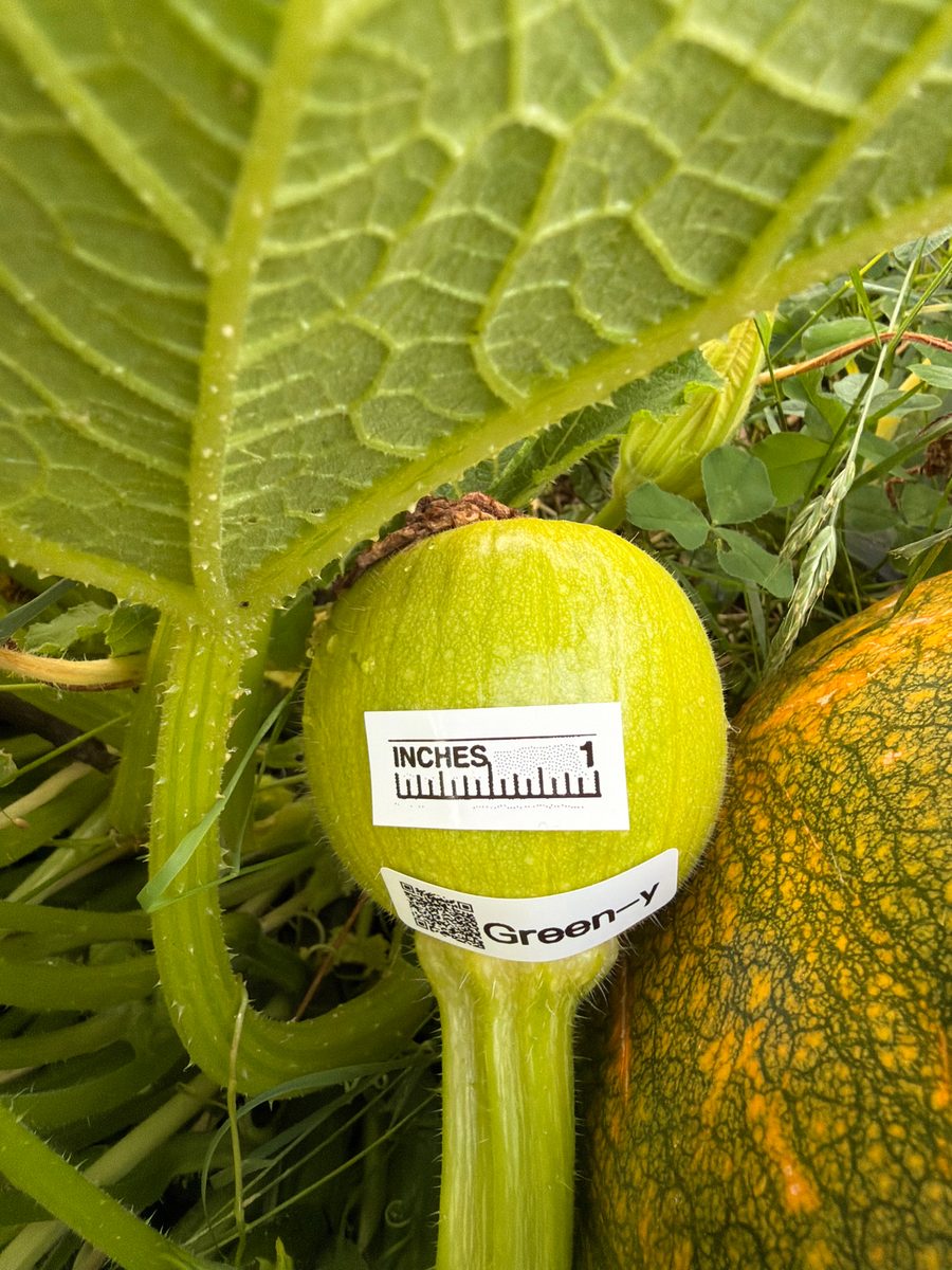 Green-y at birth