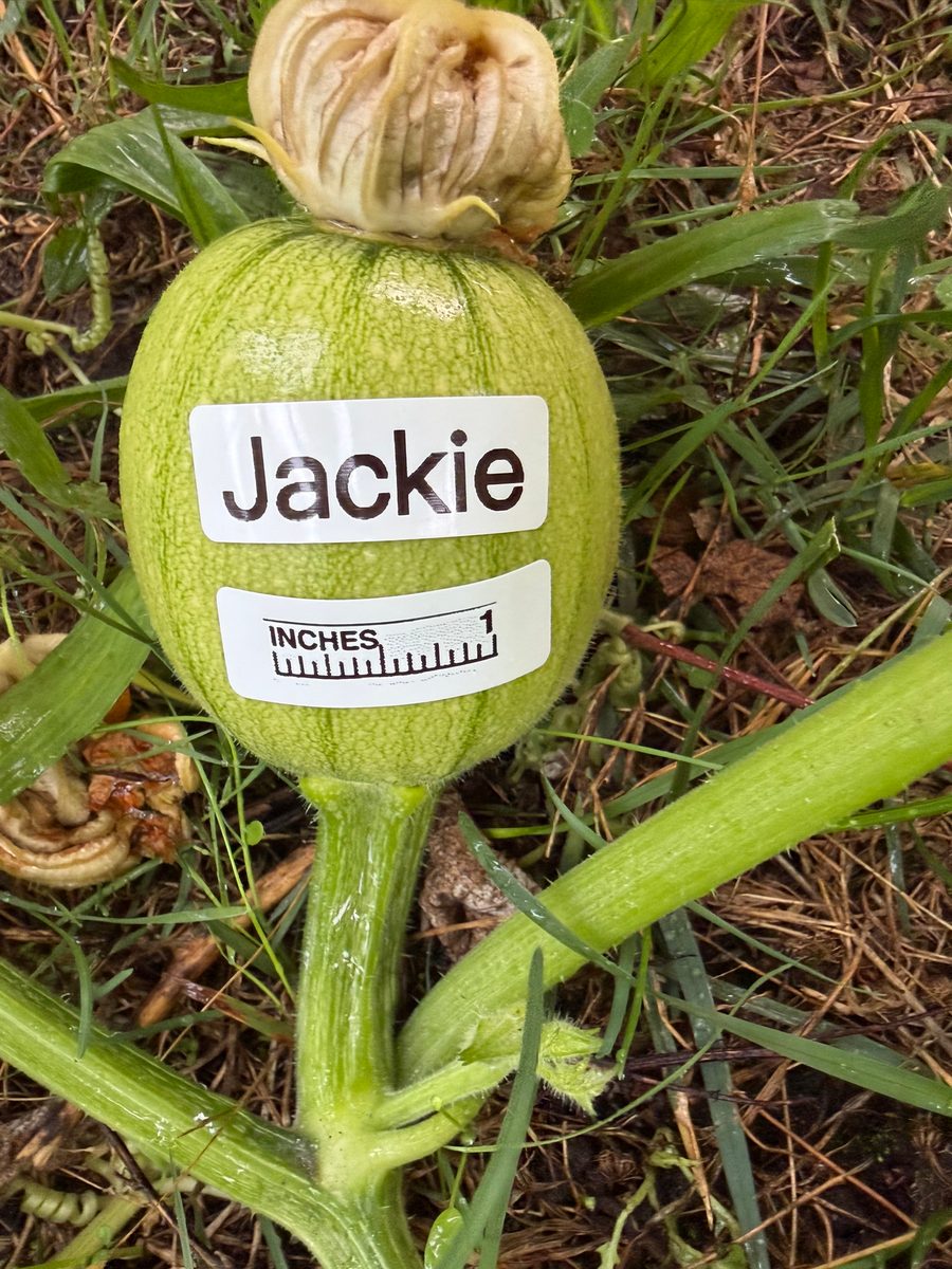 Jackie at birth
