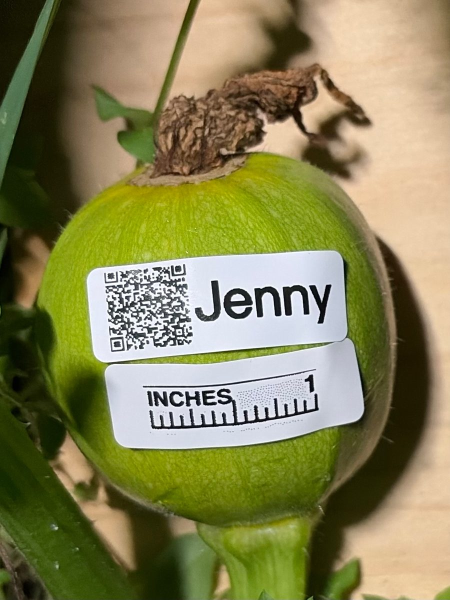 Jenny at birth