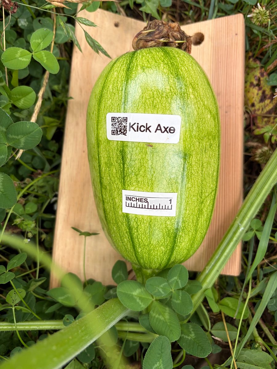 Kick Axe at birth