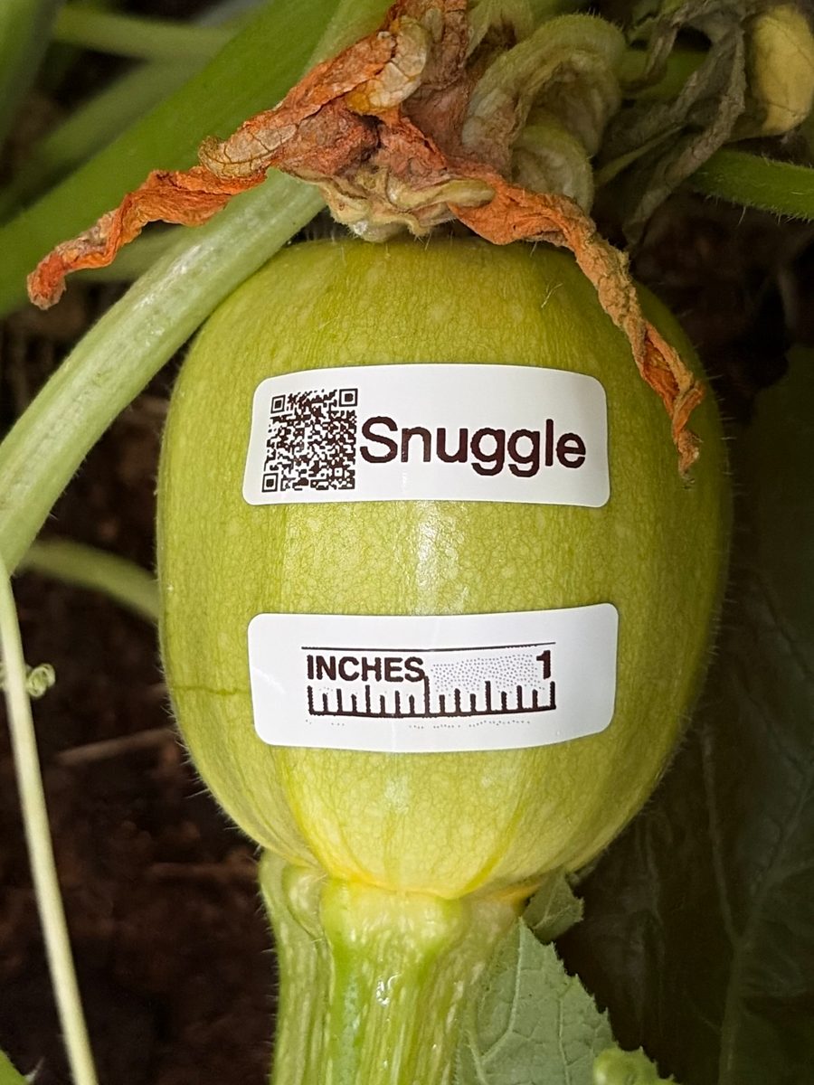 Snuggle at birth