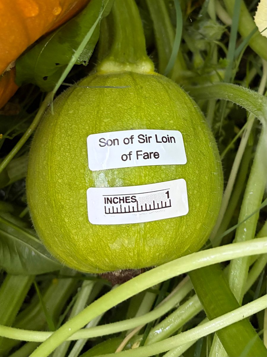 Son of Sir Loin of Fare at birth
