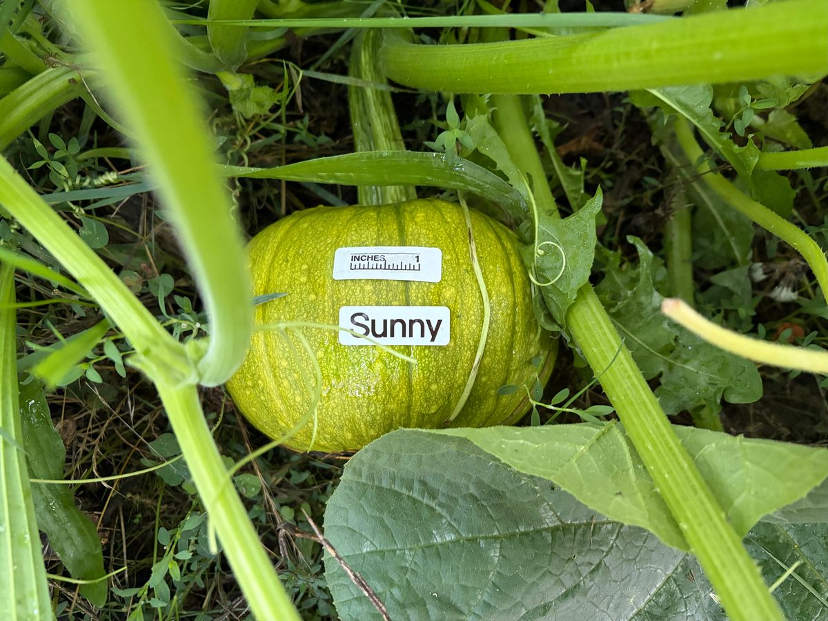 Sunny at birth