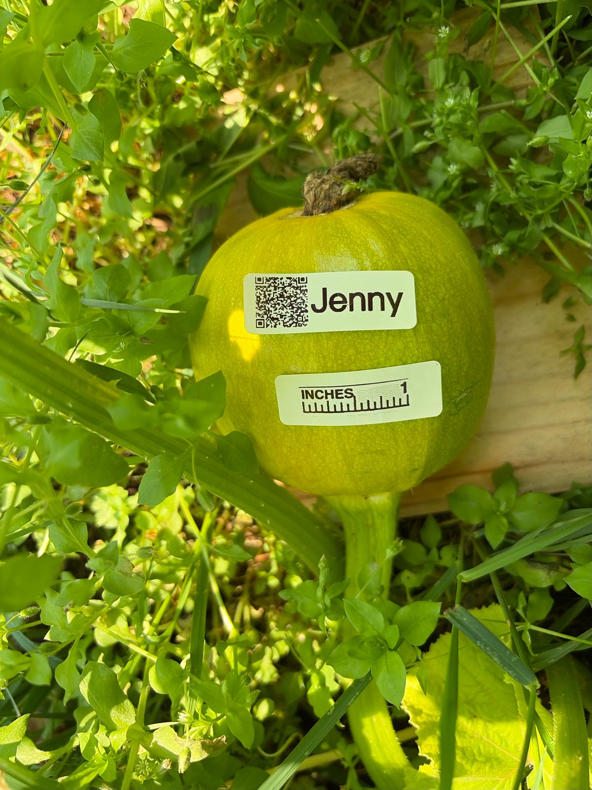 Jenny in the middle of the season