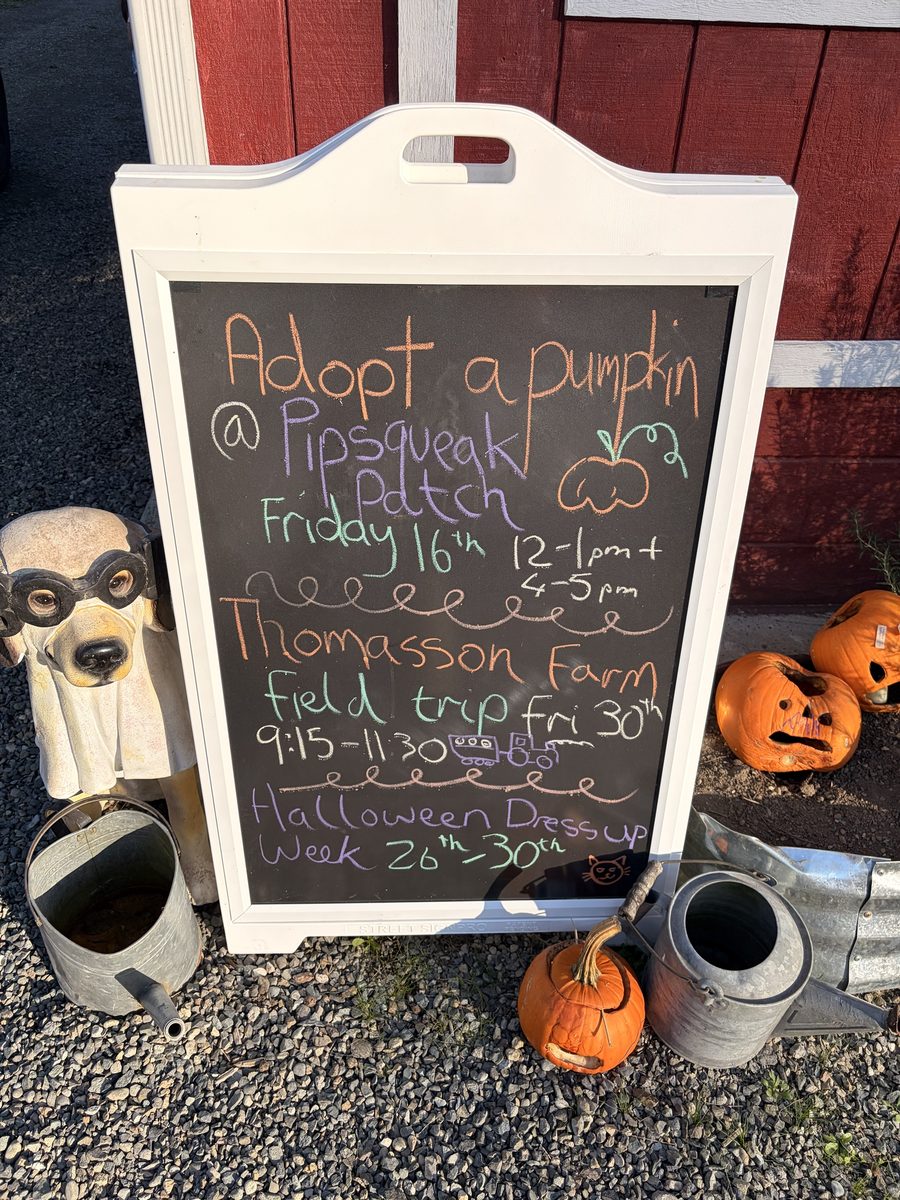 A chalkboard sign outside a red barn. It reads: Adopt a pumpkin at Pipsqueak patch, Friday 16th, 12 to 1 pm and 4 to 5 pm. Below it: Thomasson Farm field trip Friday 30th, 9:15 to 11:30, and Halloween dress-up week, 26th to 30th. A dog statue in goggles and jack-o'-lanterns sit beside it.